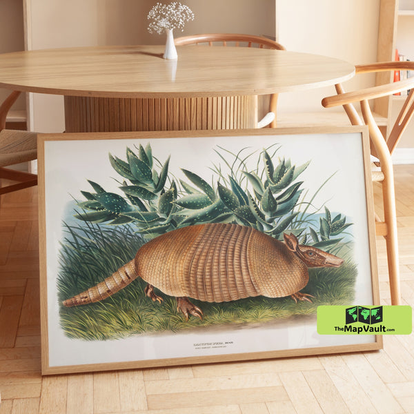 Nine-Banded Armadillo Print - John James Audubon - 19th-Century Natural History Art
