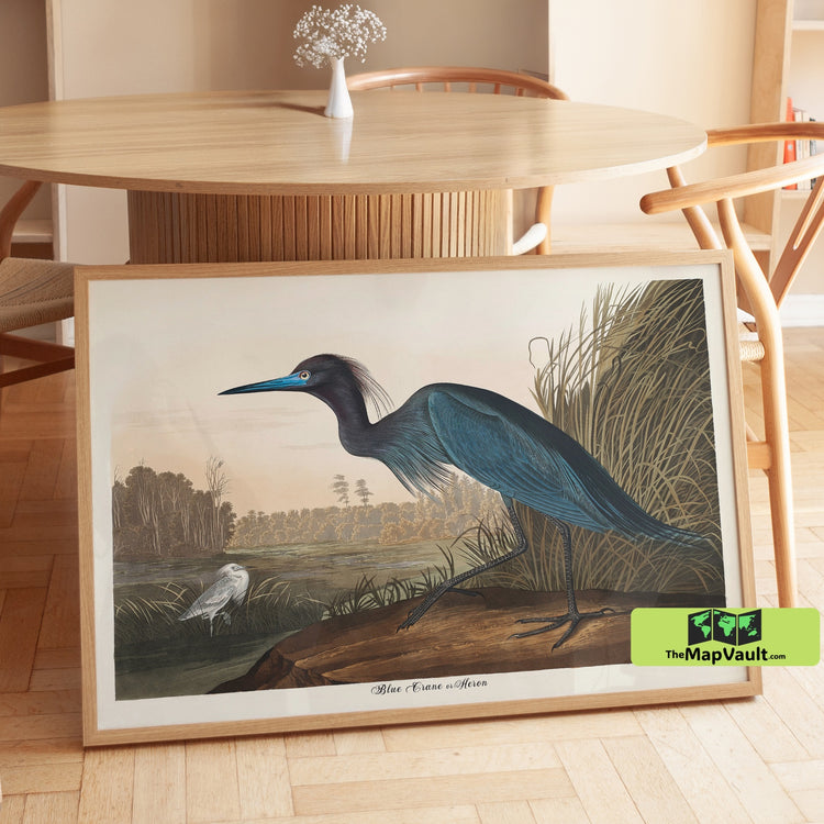 Blue Heron Print - John James Audubon - Vintage 19th-Century Ornithology Natural History Illustration
