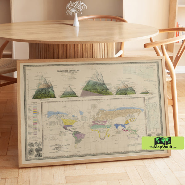 Botanical Geography Map  – Vintage Botanical Poster Depicting Plant Distribution and Elevation Across the World
