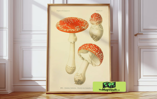 Mushroom & Botanical Harmony 1955 Print – A Vintage Floral Art for Nature-Inspired Home Decor
