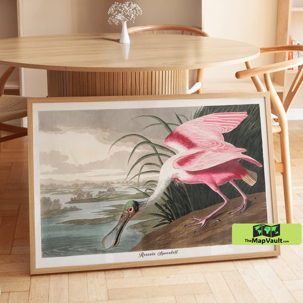 Roseate Spoonbill Bird Print - John James Audubon - Majestic 19th-Century Ornithological Illustration with Wetland Landscape & Vibrant Plumage