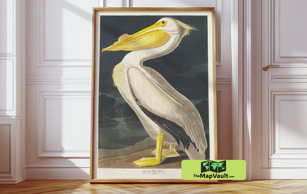 John James Audubon’s American White Pelican – Majestic Ornithological Print for Art Lovers