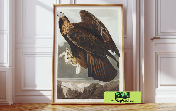 Golden Eagle by John James Audubon – Majestic Antique Wildlife Art Print Reproduction